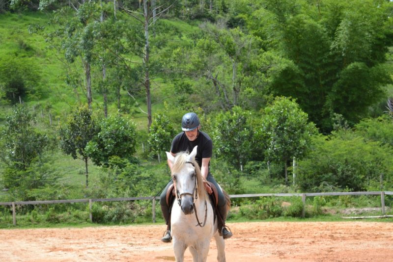 Montar cavalo é muito mais que só montar, como leigo aprendi isso