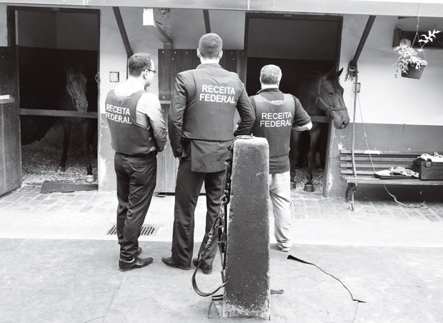 Sangue impuro, operação policial investiga sonegação na importação de cerca de mil cavalos, Foto Corbis, Latinstock