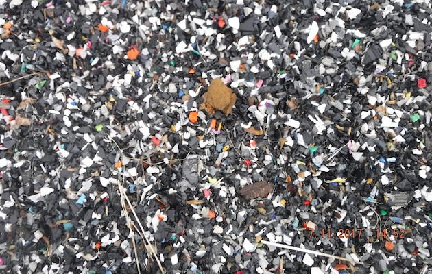 Granulado de plástico reciclado para uso em pistas de hipismo