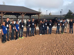 Cavalos do adestramento e equipe após aprovação na inspeção veterinária