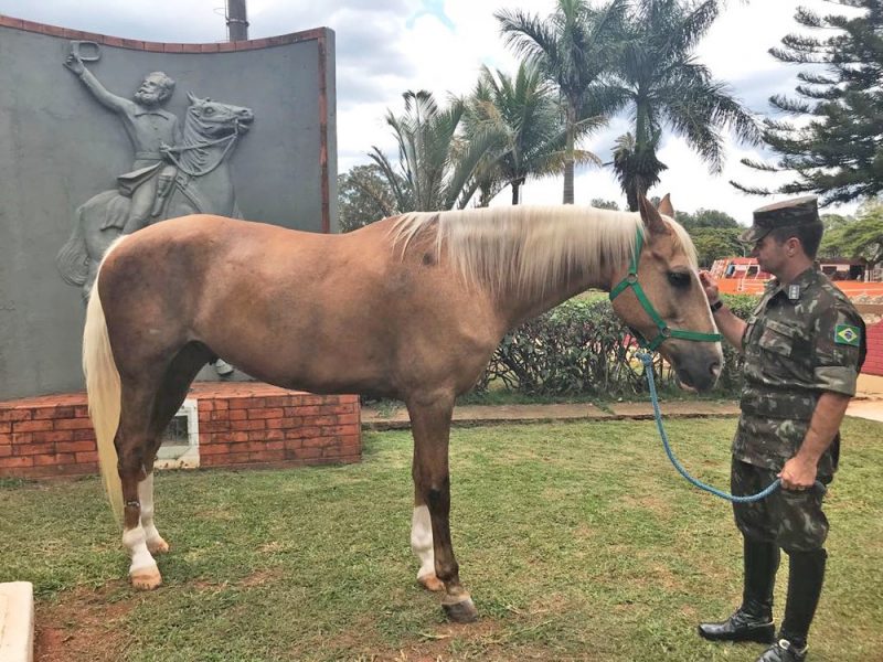 Comandande do 1º RCG, coronel Braga, ao lado do cavalo Baio e, ao fundo, quadro do Marechal Deodoro da Fonseca — Foto Marília Marques G1