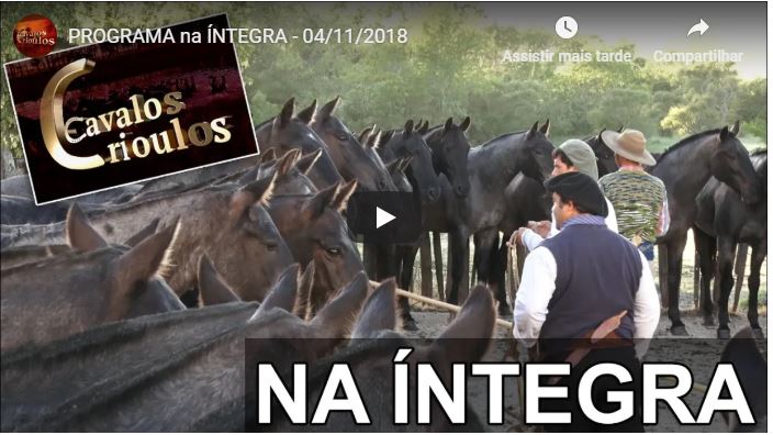 Programa Cavalos Crioulos Oficial 04-11-2018