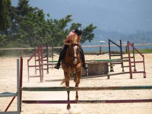 Cavalos tem memória muscular, Thaty Vidal e Biscoito TMV