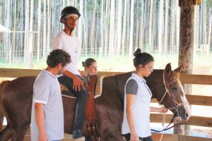 Terapia com Cavalos Crioulos auxilia sociabilidade de jovens em São Paulo