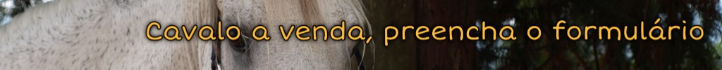 Ficha para venda de cavalo