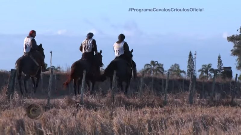 Programa Cavalos Crioulos de 14-07-2019