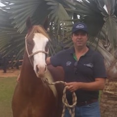Eduardo Villela Villaça Freitas, Zootecnista, Doutor em Zootecnia, supervisor técnico de Equinos na Guabi Nutrição e Saúde Animal