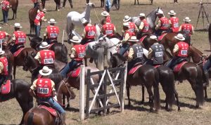 Programa Cavalo Mangalarga Marchador 9 de dezembro 2019