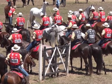 Programa Cavalo Mangalarga Marchador 9 de dezembro 2019